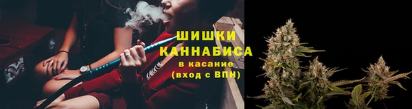 ПСИЛОЦИБИНОВЫЕ ГРИБЫ Магадан